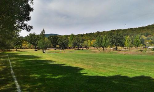 a large grass field with trees and a cloudy sky at Entrerrobles in Valdeavellano de Tera