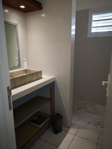 a bathroom with a sink and a mirror at Le PLAYA LODGE maison 2 chambres in Saint-François