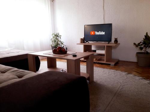 un soggiorno con TV su un tavolo di Potkrovlje a Vršac