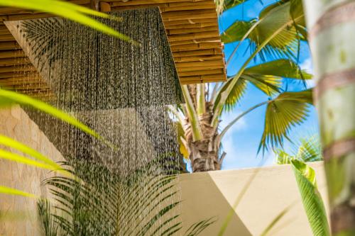 a palm tree behind a wall with a fence at Bamboo Bonaire Boutique Resort in Kralendijk