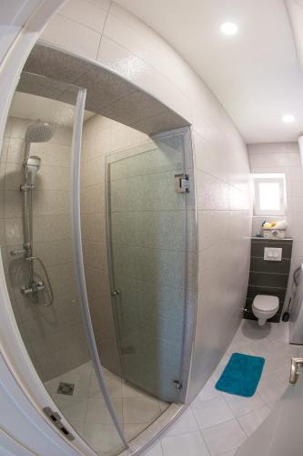 Koupelna v ubytování Villa Sandra
