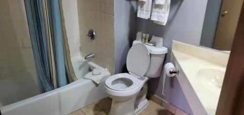 a bathroom with a toilet and a shower and a sink at Red Carpet Inn-Macon in Macon