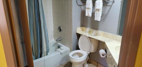 W łazience znajduje się toaleta, umywalka i prysznic. w obiekcie Red Carpet Inn-Macon w mieście Macon