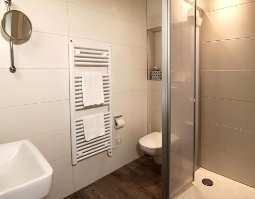 a bathroom with a shower and a toilet and a sink at Landgasthof Zur Post in Zilshausen