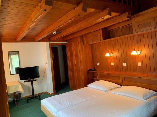 a bedroom with a bed and a flat screen tv at Hôtel Ecureuil Villars in Villars-sur-Ollon