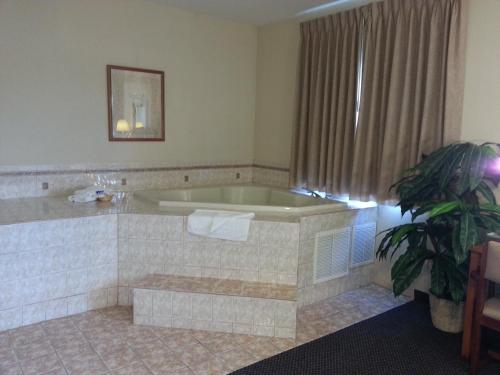 - une baignoire dans une chambre d'hôtel avec une plante dans l'établissement Americas Best Value Inn Westmorland, à Westmorland