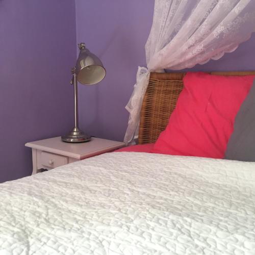 a bed with a red pillow and a lamp on a night stand at Chambres d Hôtes Les Filles Tresy in Passenans