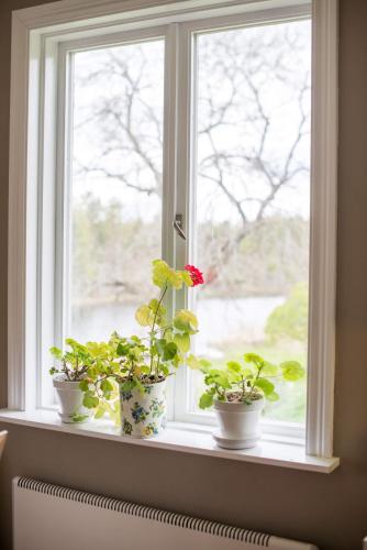 three potted plants sitting on a window sill at Sörtorpets gårdshus in Älvkarleby