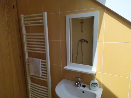 a bathroom with a sink and a mirror at Apartment Koprivovi in Němčičky