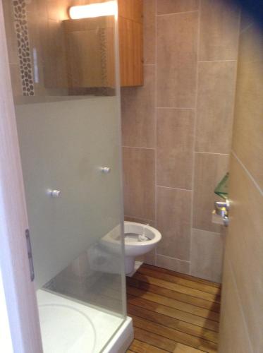 La salle de bains est pourvue de toilettes et d'une porte en verre. dans l'établissement Front de mer T2 PALAVAS LES FLOTS direct plage, à Palavas-les-Flots