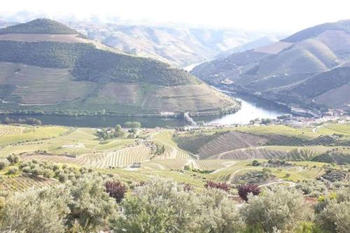 a view of a valley with a river and mountains at Casa Rodrigues in Pinhão