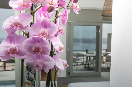 a vase filled with pink flowers in a room at Melidonia Suites in Akrotiri