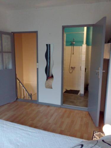 bagno con doccia e specchio in una stanza di La maison des remparts a Lectoure