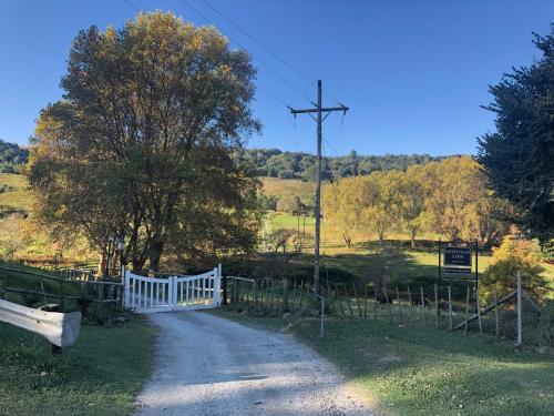 a dirt road with a white fence and a tree at Newstead Farm - Country Cottages in Curryʼs Post