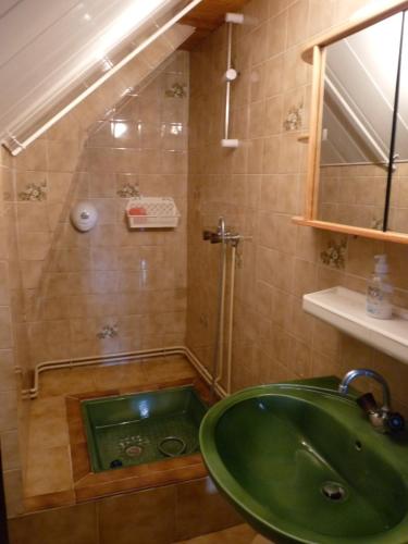 y baño con lavabo verde y ducha. en Le Relais des Ecrins, en Saint-Christophe-en-Oisans