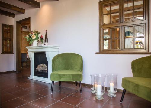 a living room with two chairs and a fireplace at Boutique-Hotel Weigels Bergfreiheit in Winterberg