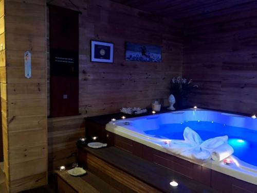Gambar di galeri bagi Domaine de Label, Spa, massages di La Salvetat
