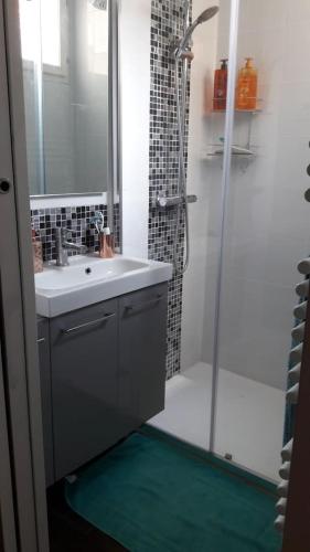 une salle de bain avec un lavabo et une douche dans l'établissement Un appartement lumineux au parc beaumont, à Pau