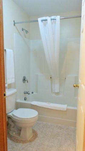 a bathroom with a toilet and a tub and a shower at Hopewell Rocks Motel & Country Inn in Hopewell Cape