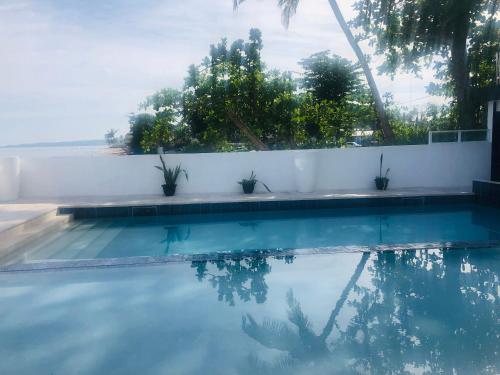 una piscina con algunas plantas en el agua en Hotel Colombus, en Aguada