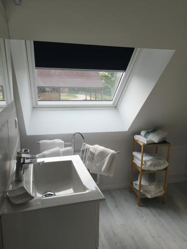a bathroom with a sink and a window at Les gites Haras Del Paradiso in Boitron