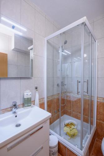 a bathroom with a shower and a sink and a toilet at Apartman Sea view in Brist