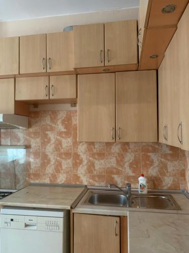 kuchnia z drewnianymi szafkami i zlewem w obiekcie House w mieście Tbilisi City