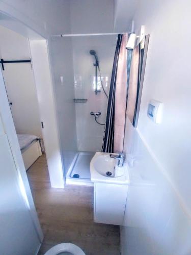 a bathroom with a shower and a sink and a toilet at Mendula in Premantura