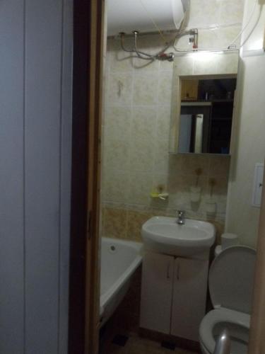アドレルにあるPanfilova 3 apartmentのバスルーム(洗面台、トイレ、バスタブ付)