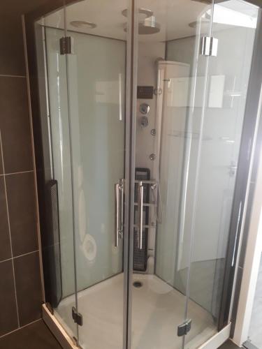 a shower with glass doors in a bathroom at Waegen Uus in Wolphaartsdijk