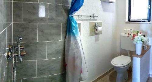 a bathroom with a shower curtain and a toilet at Apartment Franciska in Rakovica