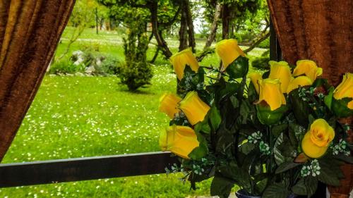 a vase filled with yellow roses in a window at Apartment Franciska in Rakovica