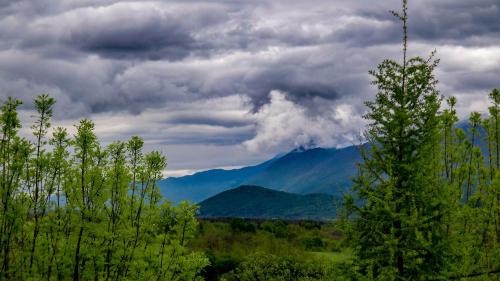 a view of mountains and trees under a cloudy sky at Apartment Franciska in Rakovica