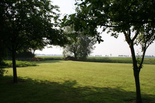 a field of green grass with trees in the foreground at Het Torentje van Trips in Tripscompagnie