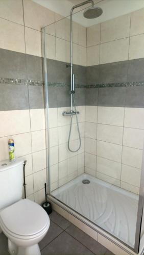 y baño con ducha, aseo y bañera. en Appartement Duplex en Bretenoux