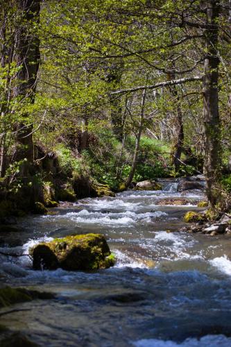 a stream with a rock in the middle of a river at La Dormeuse du Val in Chambon-sur-Lac