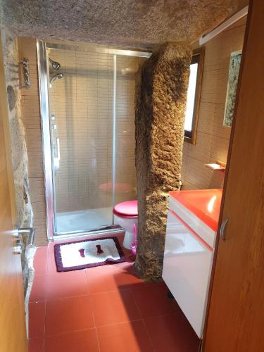 a bathroom with a shower and a toilet and a sink at casa cristimil -san amaro in Salamonde
