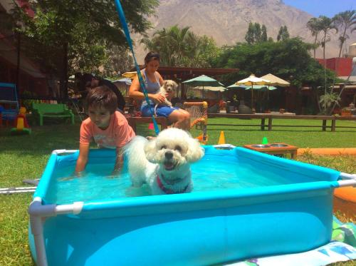 um rapazinho e um cão numa piscina de água em Huertalejandro Restaurante Campestre y Hospedaje em Cieneguilla