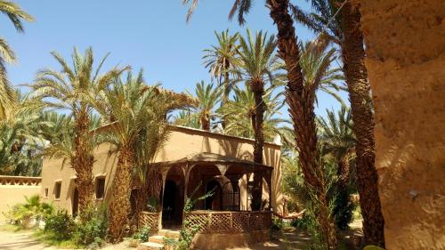a house in the middle of a group of palm trees at Dar Jnane - La Maison Du Jardin in Agdz