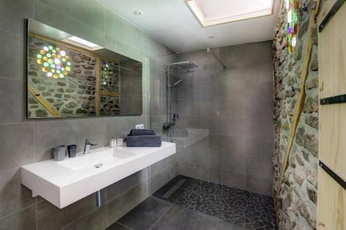 ein Badezimmer mit einem weißen Waschbecken und einer Dusche in der Unterkunft La Dormeuse du Val in Chambon-sur-Lac