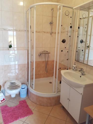 een badkamer met een douche, een toilet en een wastafel bij Apartments Niki in Sveti Petar