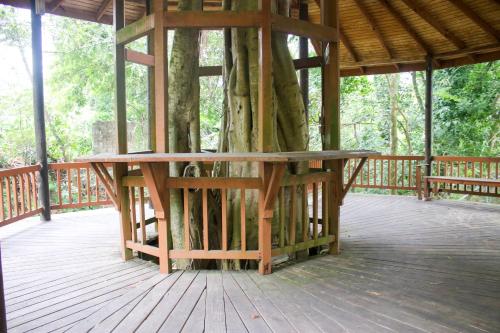a pavilion with a tree growing inside of it at Log 33 in Ocho Rios