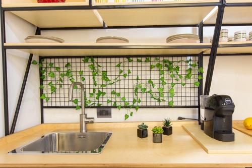 a kitchen sink with plants growing on it at Residenza le Scalette in Cagliari