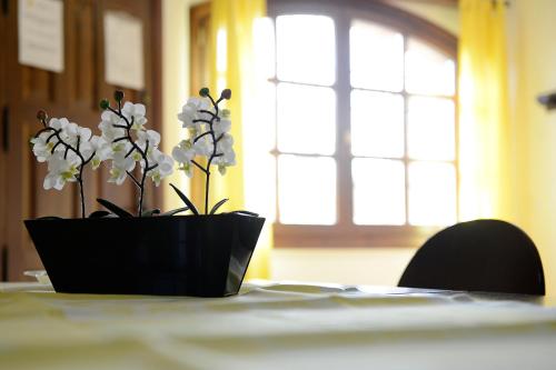 a black vase with white flowers sitting on a table at Apartamentos Bellavista in Alquézar