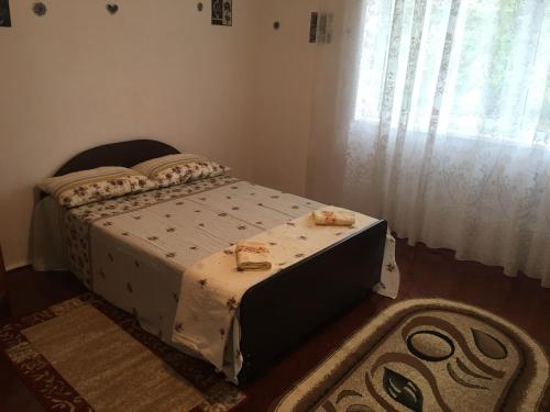 a bedroom with a bed and a window at Vila la Izvorul Putinei in Haţeg