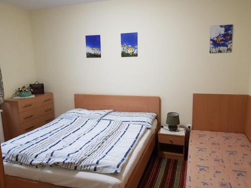 a bedroom with a bed and two pictures on the wall at Privat Bartky in Vrbov