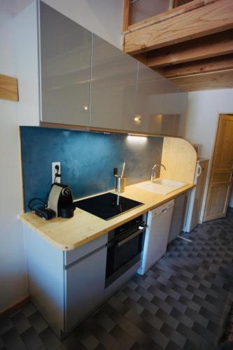 une cuisine avec un évier et un plan de travail dans l'établissement studio chambres mezzanine, à Saint-Chaffrey