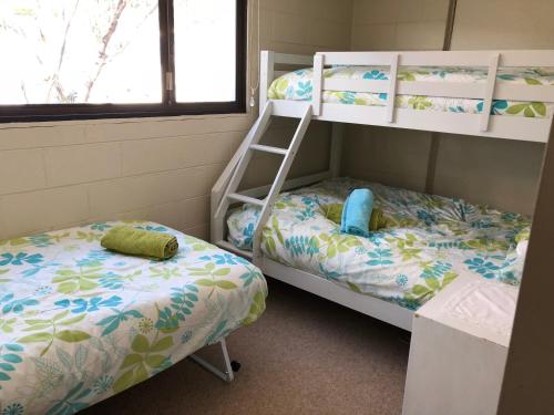 2 stapelbedden in een kleine kamer met een raam bij Katmandu 1 in Falls Creek