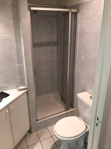 a bathroom with a shower and a toilet in it at Den oever 6 005 in Nieuwpoort