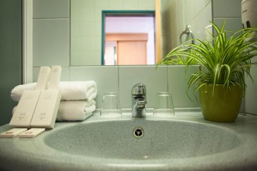 a bathroom sink with a plant and a mirror at City Hotel Matyas in Budapest